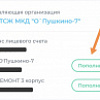 Прием платежей в приложении Бурмистр.ру